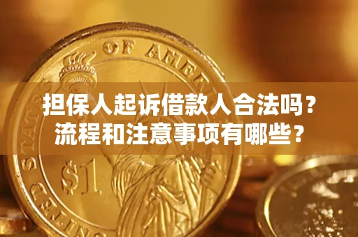 北京担保人起诉借款人合法吗？流程和注意事项有哪些？