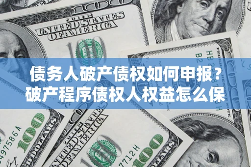北京债务人破产债权如何申报？破产程序债权人权益怎么保障？