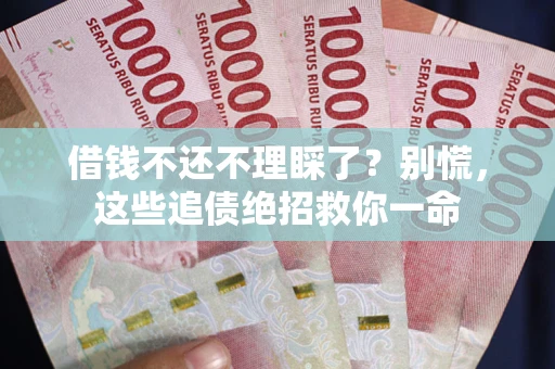 北京借钱不还不理睬了？别慌，这些追债绝招救你一命