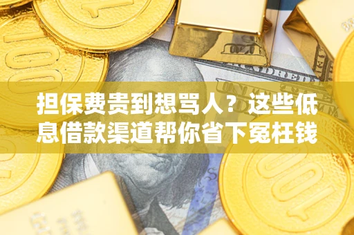 北京担保费贵到想骂人？这些低息借款渠道帮你省下冤枉钱