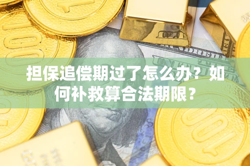 北京担保追偿期过了怎么办？如何补救算合法期限？