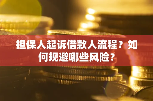 北京担保人起诉借款人流程？如何规避哪些风险？