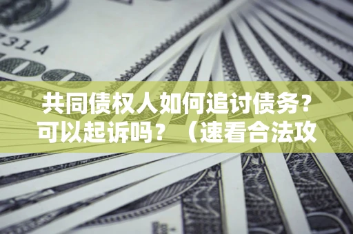 北京共同债权人如何追讨债务？可以起诉吗？（速看合法攻略）