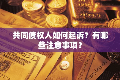 北京共同债权人如何起诉？有哪些注意事项？