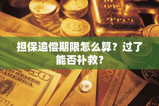 北京担保追偿期限怎么算？过了能否补救？